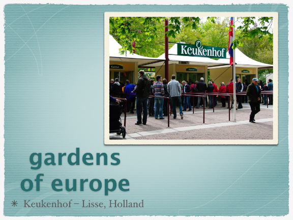 *gardens of Keukenhof cover